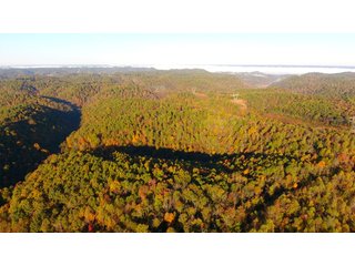 Property photo 26 - LAND AUCTION - 1,682+/- ACRES OFFERED IN 17 TRACTS IN LEWIS & GREENUP COUNTIES, KENTUCKY